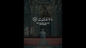 {قال إنما أشكو بثي وحزني إلى الله...} سورة يوسف الآية ٨٦