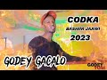 BASHIIR JAAWI  GODEY GACALO  VIDEO MUSIC NEWS 2023