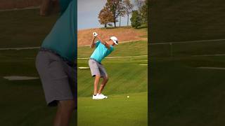 Did This Bounce Onto The Green? #golf #golfcourse #golfswing