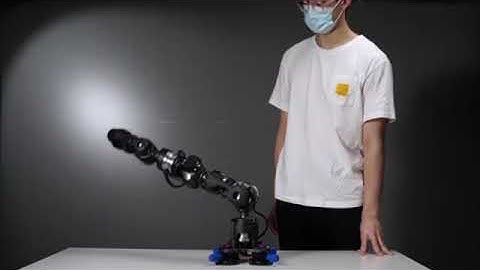 A short introduction about Amber B1