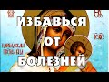 ЗДОРОВЬЕ КАК В МОЛОДОСТИ! ОЧЕНЬ СИЛЬНАЯ МОЛИТВА БОГОРОДИЦЕ &quot;ЦАРЕГРАДСКАЯ&quot;