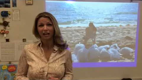 Aimee Lowe TUS video