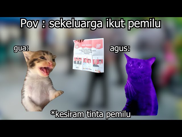 Pov : sekeluarga ikut nyoblos pemilu | meme kucing 🤣 17 class=