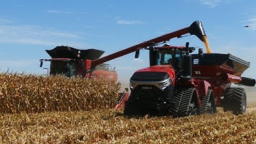 Corn Harvest Field Demo At Farm Progress Show 2025 - ALL DEMOS