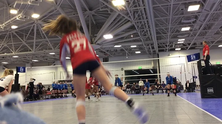 Brookes highlight video