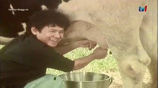 Sudirman Hj Arshad - Anak Gembala | HMI 1992 Sudirman Dalam Kenangan