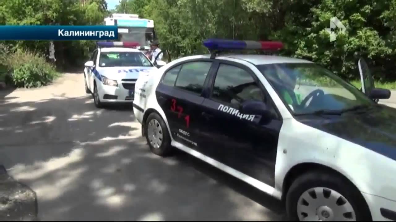 Криминальные новости алексеевского района