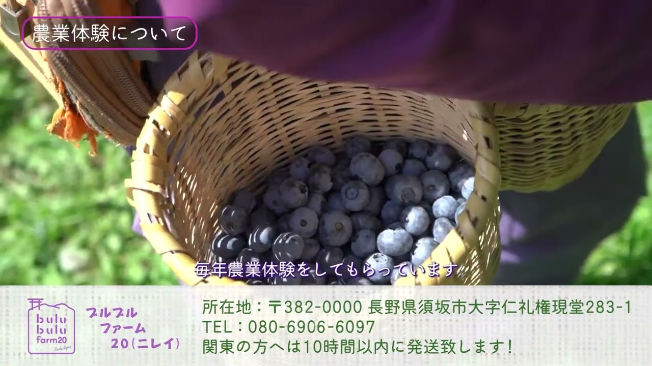 ブルーべり狩りなら ブルブルファーム20｜有機JAS認定の安心安全な高い品質