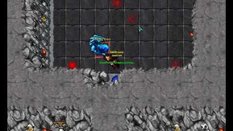 tibia arena