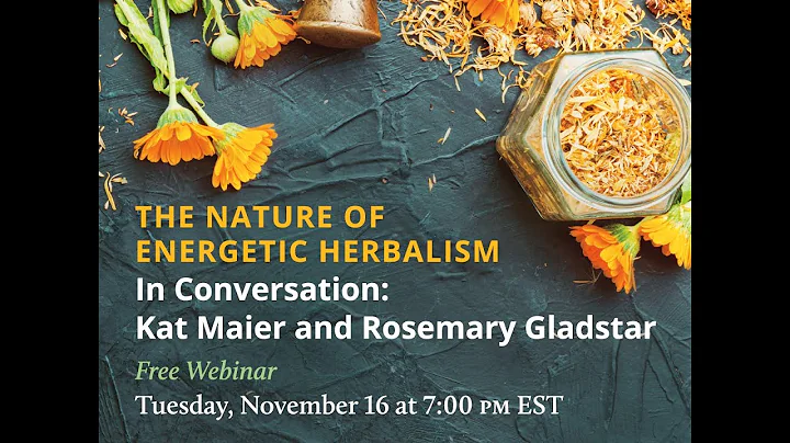 THE NATURE OF ENERGETIC HERBALISM: In Conversation...