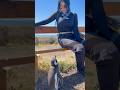 Punta Tombo é uma Reserva Natural na Patagônia Argentina 🐧