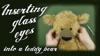 glass teddy bear eyes