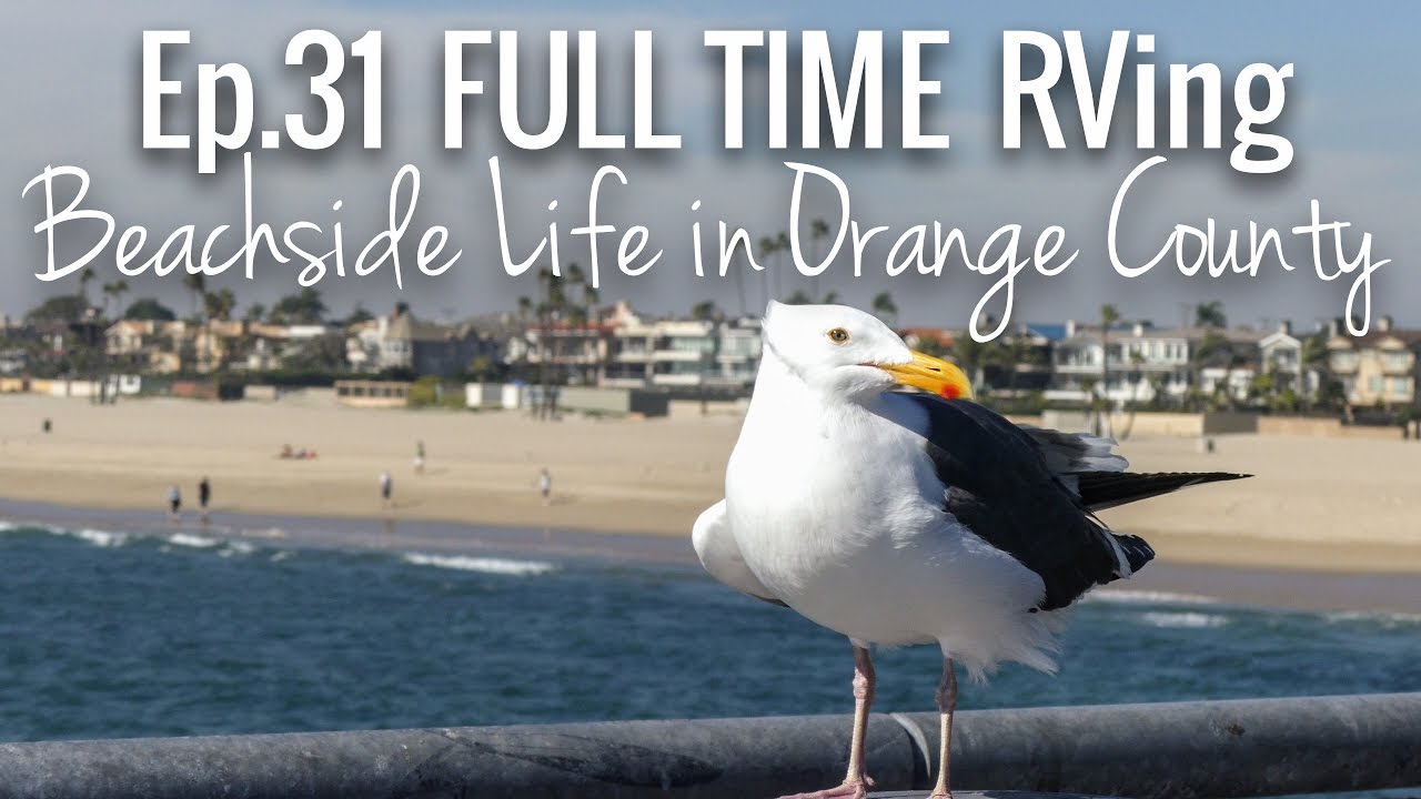 [RV Life & Travel] Ep. 31 RVing Orange County || Beachside Camping, Breweries & Chill Vibes