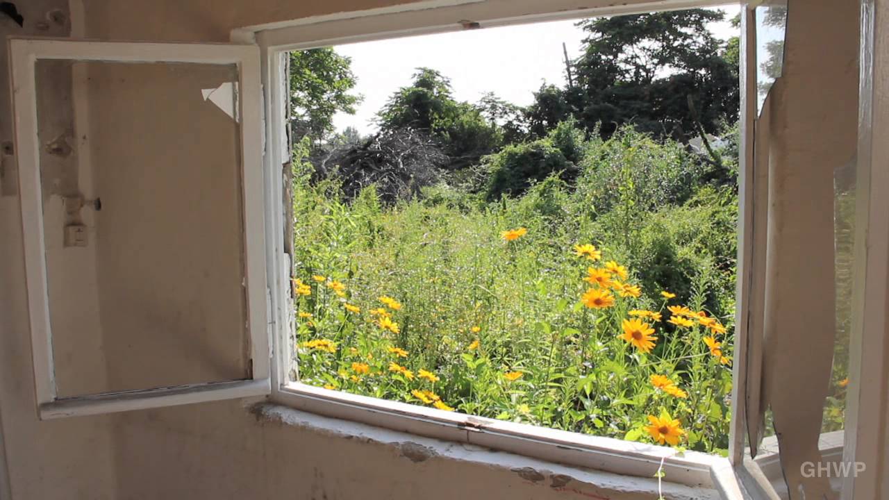 Abandoned Gardens - Verlassener Schrebergarten - In A Berlin Minute (Week 117) [HD]