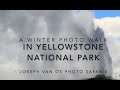 Van Os Photo Safaris Yellowstone Photo Walk