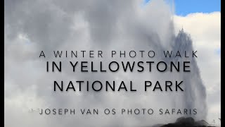 Van Os Photo Safaris Yellowstone Photo Walk