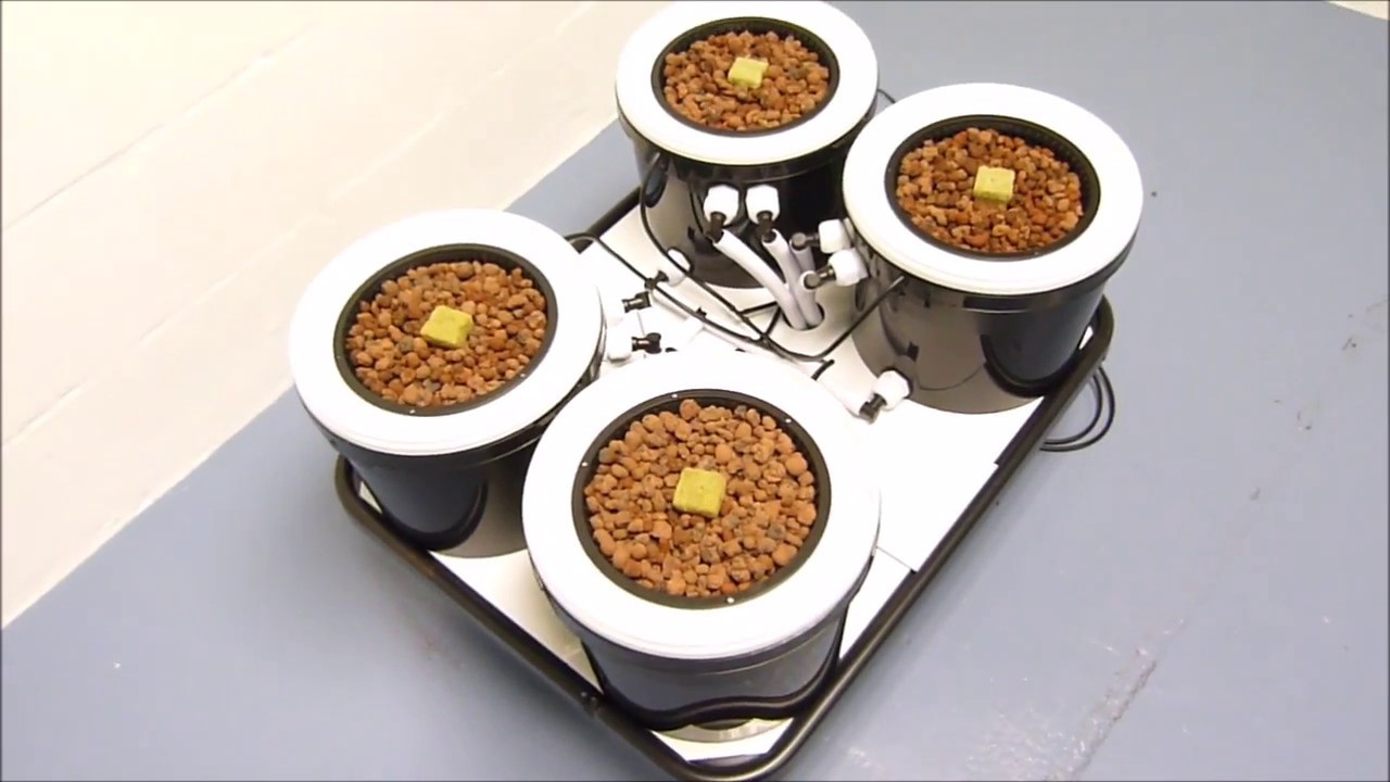 Tsunami Flood & Drain - Poseidon Hydroponic Systems