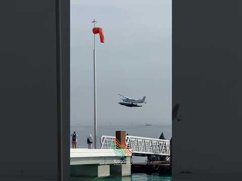 اكتشف سحر جزيرة شيبارة السعودية