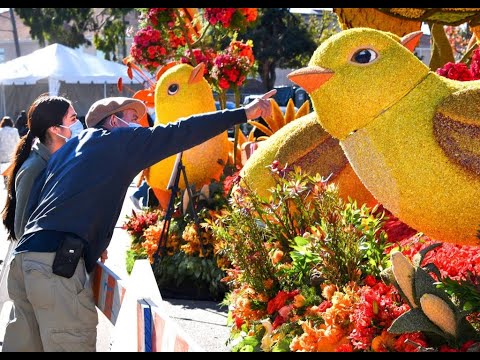 Video: Rose Parade Float Viewing - Come vedere i galleggianti da vicino