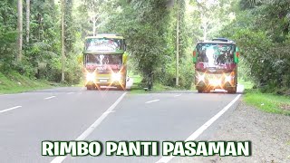 [ARTI DAN LIRIK INDA TARGOTTI ON MIX] BUS ALS 43, 203, 206, 084 , BUS JOGJA 234 DAN 224  RIMBO PANTI