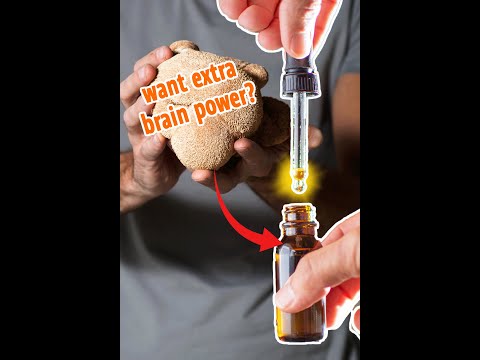 How To Make A Lion S Mane Tincture Super Easy 
