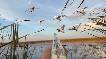 Duck Hunting A Tiny Pothole!