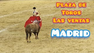 ASMR. Arena de las ventas, Madrid 11/05/2025 #lasventas #madrid #arena #lasventas2025 #plazadetoros
