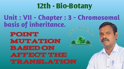 12th - Bio-Botany : Unit: VII - Chapter : 3- Chromosomal basis of inheritance.