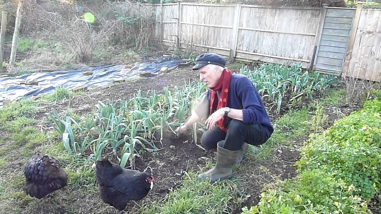 An Exclusive Tour Of My Self Sufficient Vegetable Garden Youtube