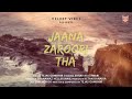 Jaana Zaroori Tha - | Shray Rai Tiwari | Tejas Gambhir | Velvet Vibes
