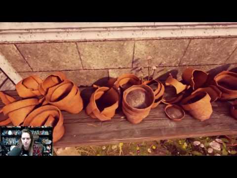 Maize COMPLETE VOD