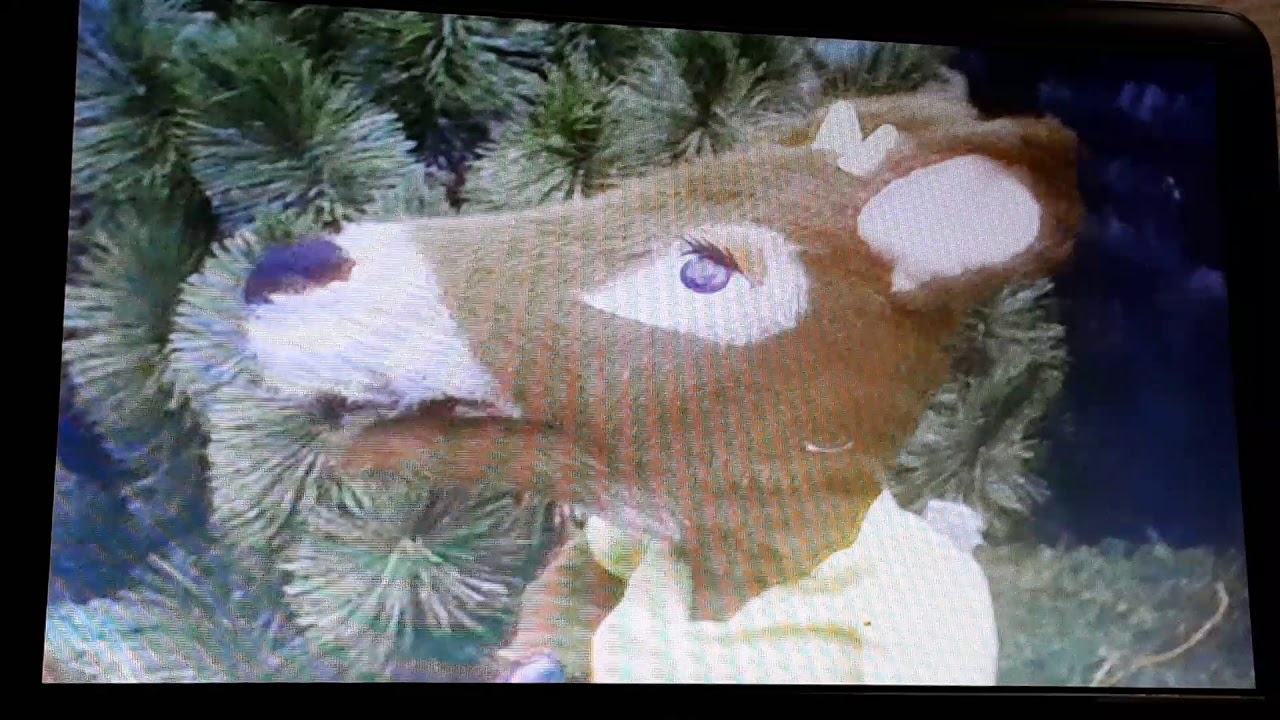 Bolke de beer aflevering 3 bolke krijgt een huis