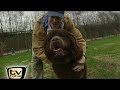 Raab in Gefahr: Raab testet Hunde - TV total