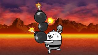 It's Bomber Cat Time