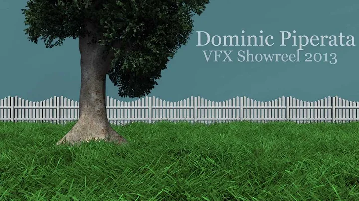 2013 Showreel Dominic Piperata