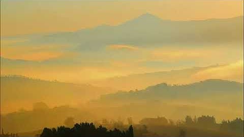 تلاوة عذبة تفيض جمالاً