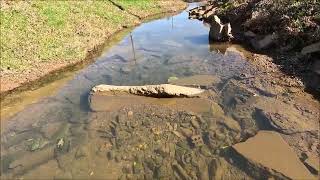 You Will Not Believe What This Guy Found in a City Creek!! Rifle &amp; Rare Antique Bottle