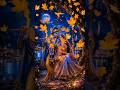 jai Radha Krishna #shorts #radhakrishna #radheradhe #radheradhe #radhakrishnalove #highlights #reels