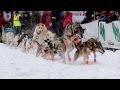 YQ 2014 - The Start