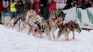 : YQ 2014 - The Start