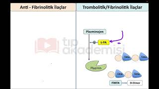 Fibrinolizis Yapan Ilaçlar Anti-Fibrinolizis Yapan Ilaçlar. Hangisi Lizin Ogu Idi?