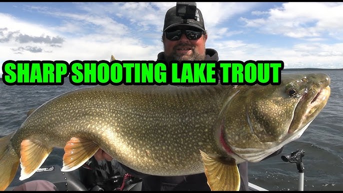 Lake Trout Jigging Techniques That Guides Don't Want You to Know