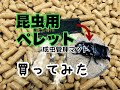 成虫用に昆虫専用ペレットを買ってみた