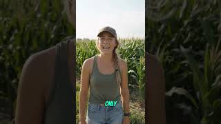 Des vents de 65 km/h menaçaient son champ — Elle l'a vu venir 🌩️🌽 #shorts #farmonaut
