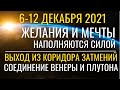 Неделя 6 -12 декабря 2021: Желания наполняются Силой. Выход из Коридора Затмений