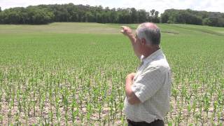 Ask an Expert- Drainage- Effect