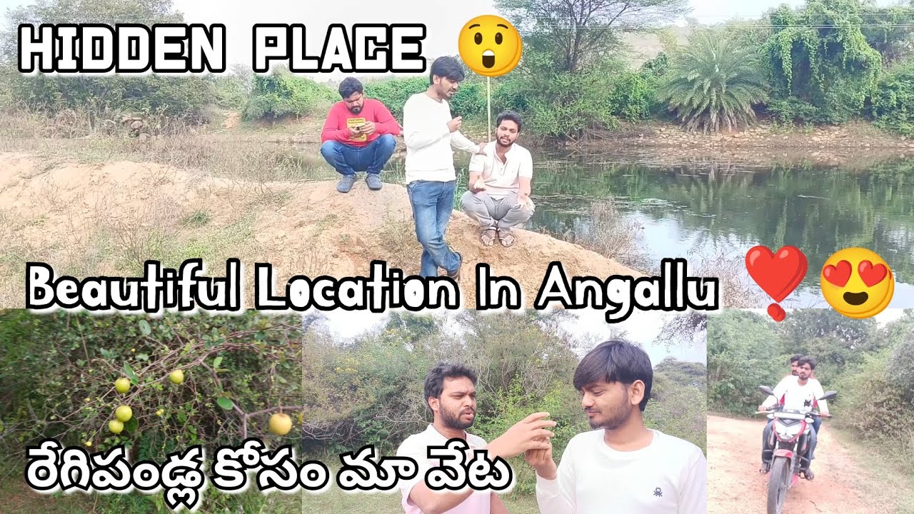 Angallu Beautiful ️🤩 Place Fruits Pond - YouTube