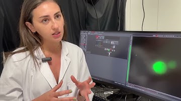 Mechanical Stimulation: Biochemical Processes in the stem cell