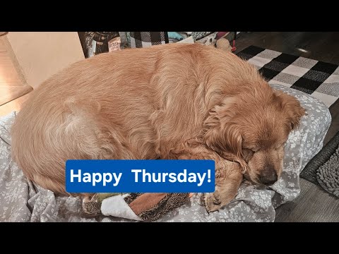 It S Almost The Weekend 