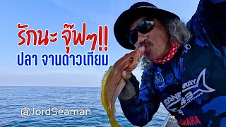 ตกปลาจานดาวเทียม ไม่เคยผิดหวัง #ตกปลา #fishing #ตกปลาหน้าดิน @JordSeaman